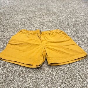 Chubbies Shorts